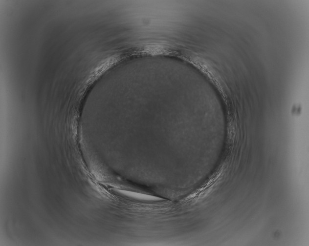 X0000097840393200803281229
