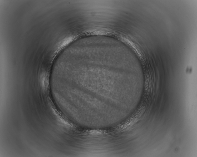 X0000097840394200803281229