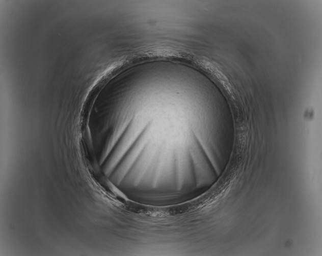 X0000097840395200803281229