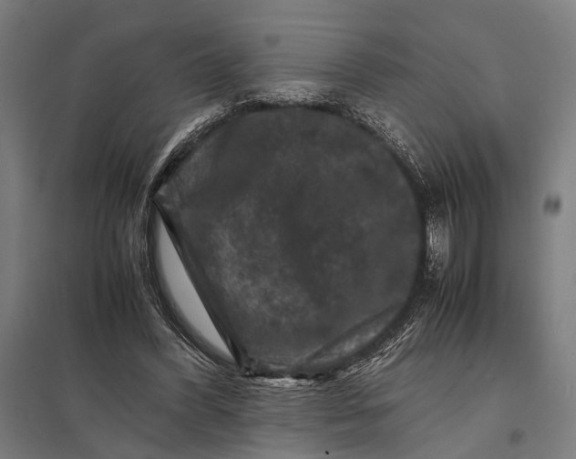 X0000097840396200803281229