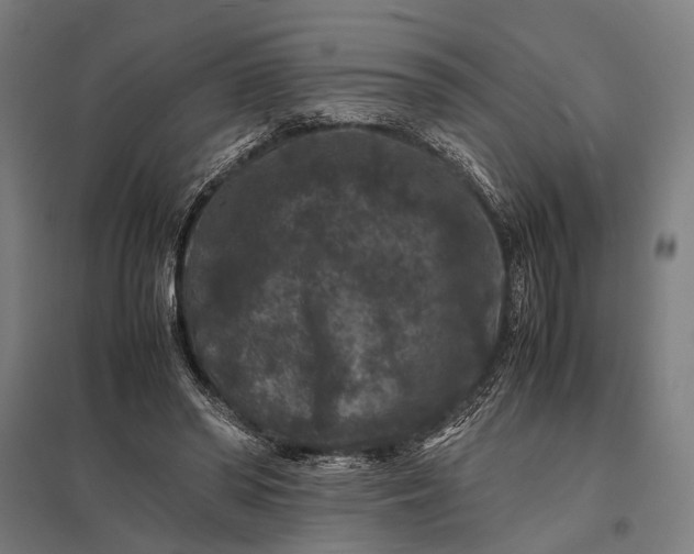 X0000097840398200803281228
