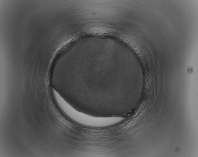 X0000097840399200803281228