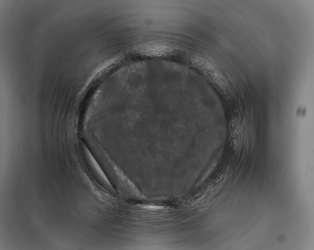 X0000097840400200803281228