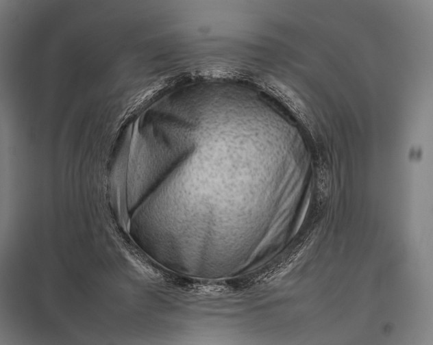 X0000097840401200803281228