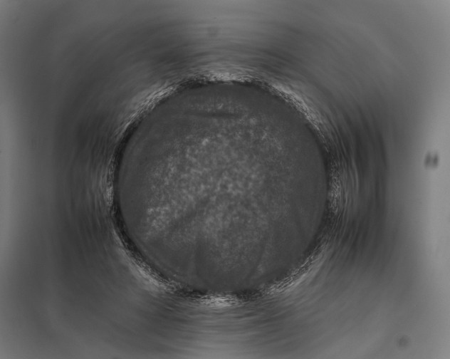 X0000097840402200803281228