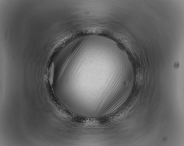 X0000097840403200803281228