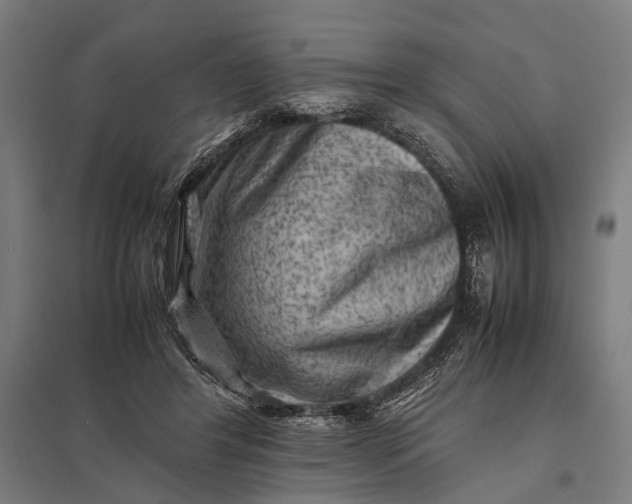 X0000097840404200803281228