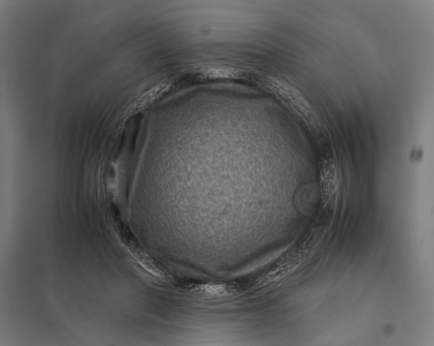 X0000097840406200803281228