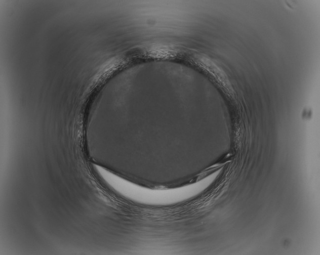 X0000097840407200803281228