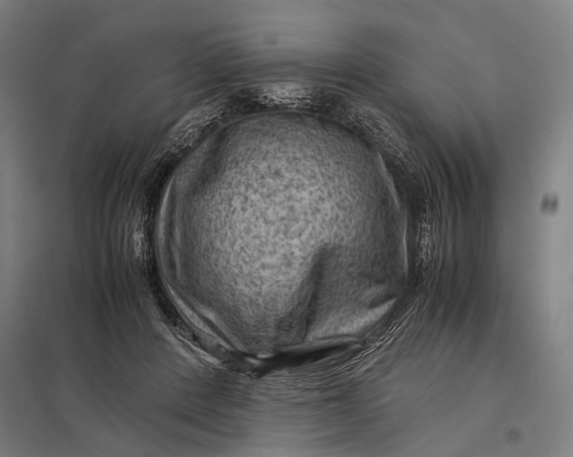 X0000097840408200803281228