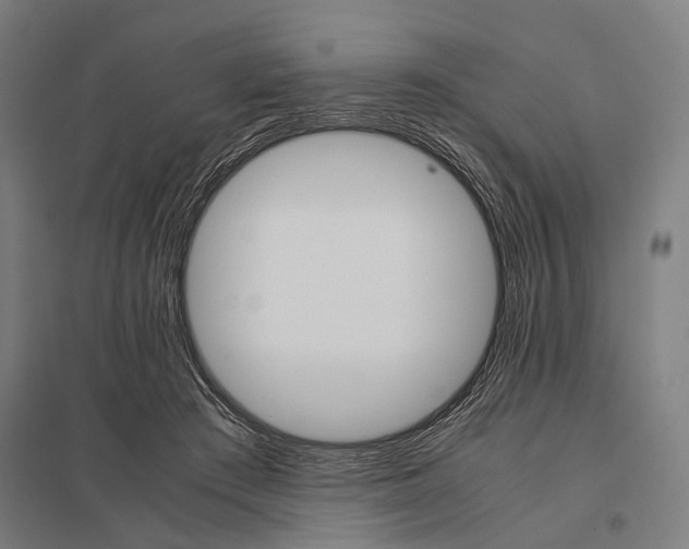 X0000097840409200803281228