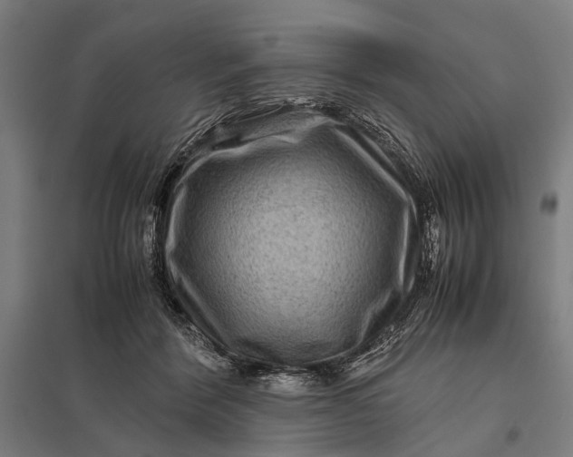X0000097840412200803281228