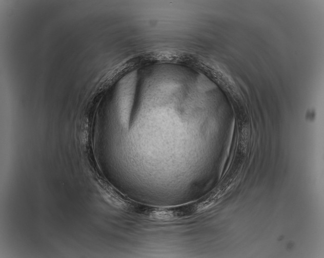 X0000097840413200803281228