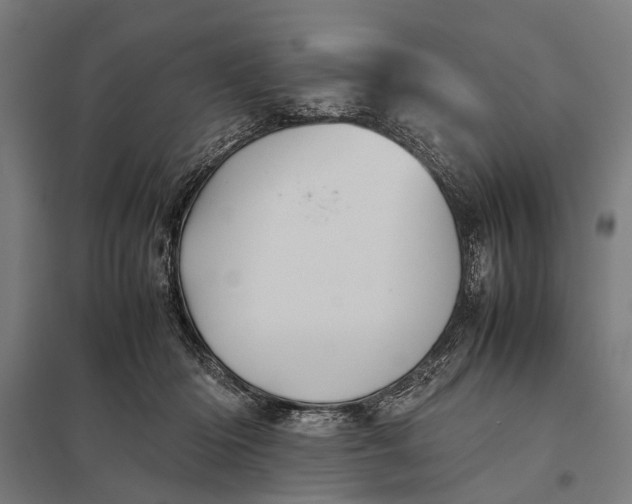 X0000097840414200803281228