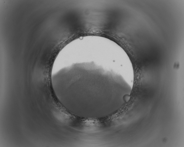 X0000097840415200803281228