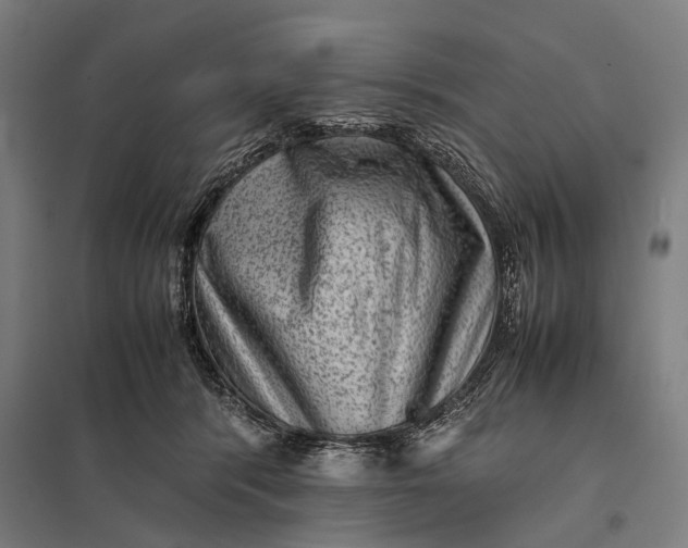 X0000097840416200803281228