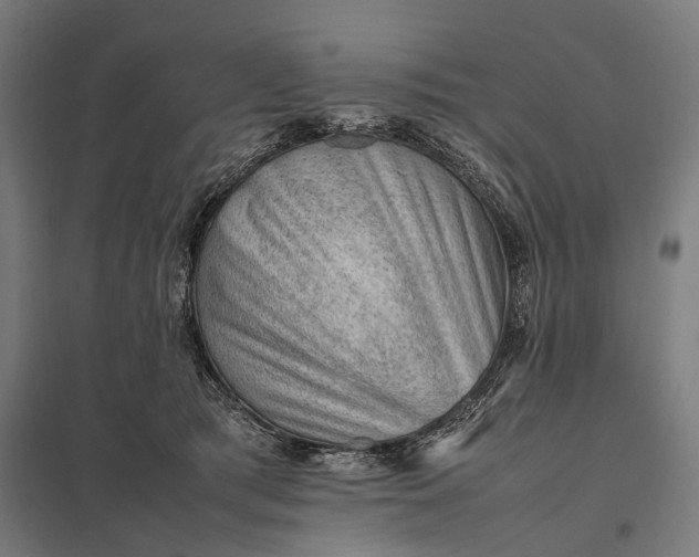 X0000097840417200803281228