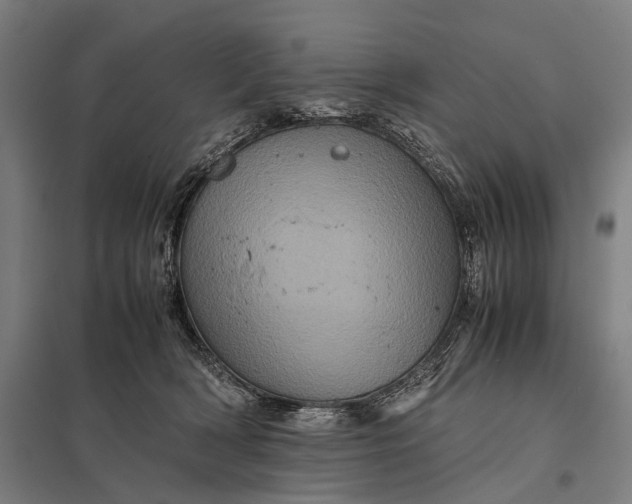 X0000097840418200803281228