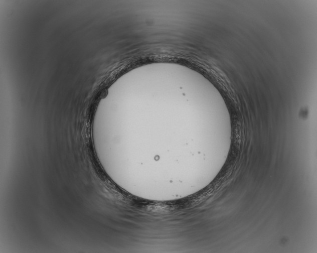 X0000097840419200803281228