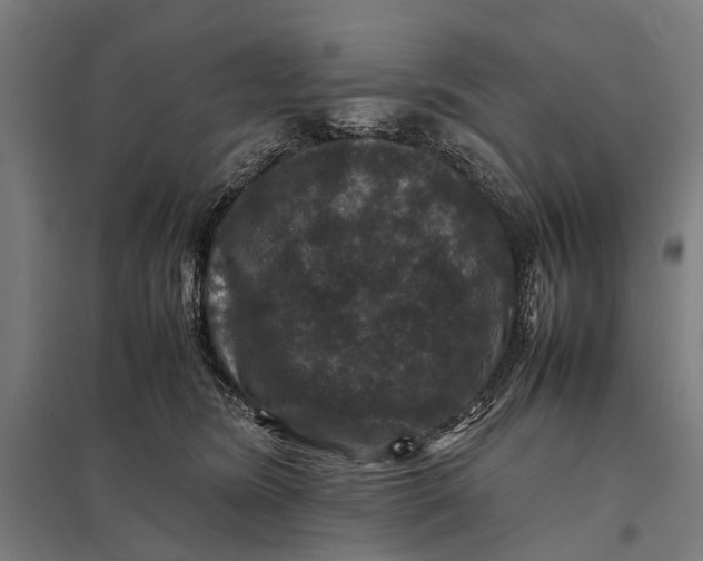 X0000097840420200803281228