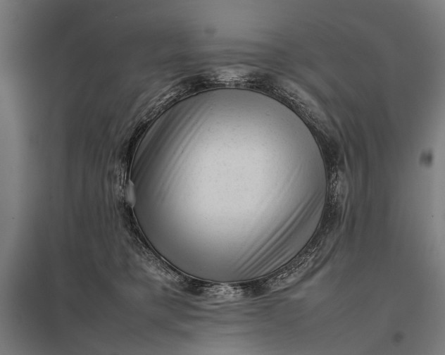 X0000097840421200803281228