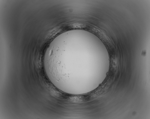 X0000097840422200803281228