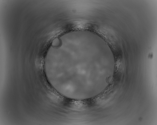 X0000097840423200803281228