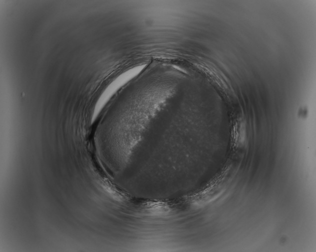 X0000097840424200803281228