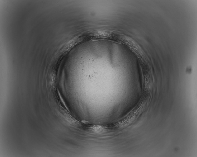 X0000097840425200803281228