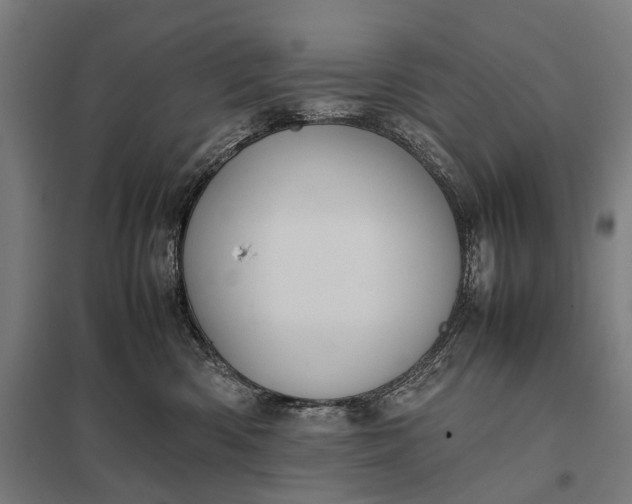 X0000097840426200803281228