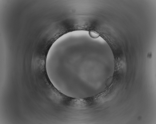 X0000097840427200803281228
