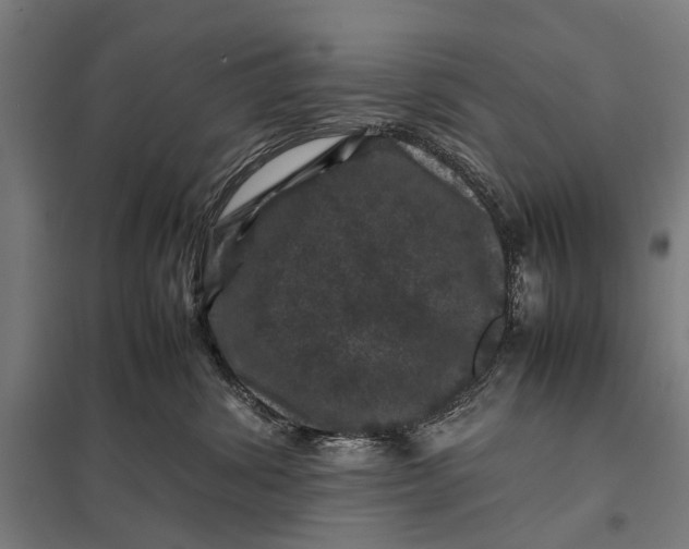 X0000097840428200803281228