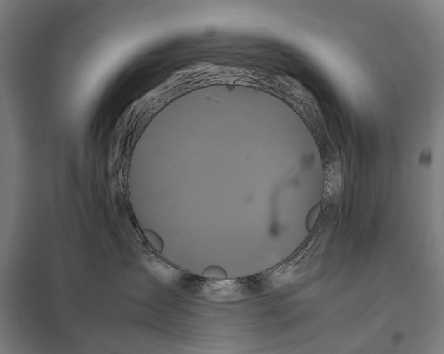 X0000097840431200803281228
