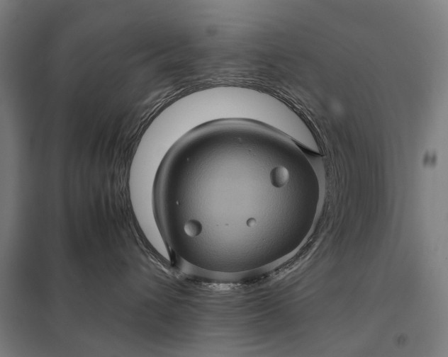 X0000097840432200803281228
