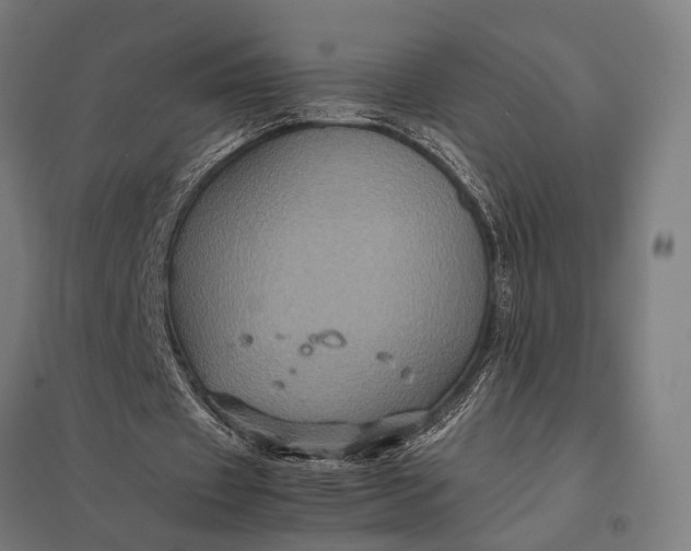X0000097840433200803281227