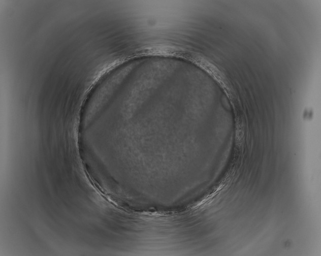 X0000097840434200803281227