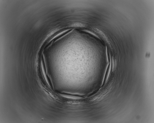 X0000097840435200803281227