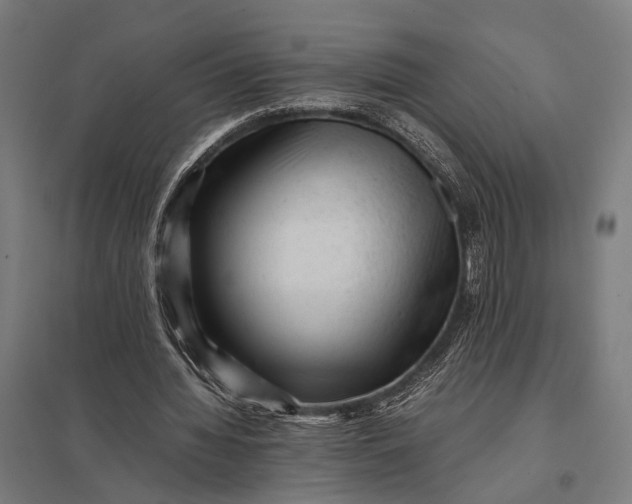 X0000097840436200803281227
