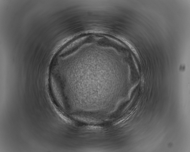 X0000097840437200803281227