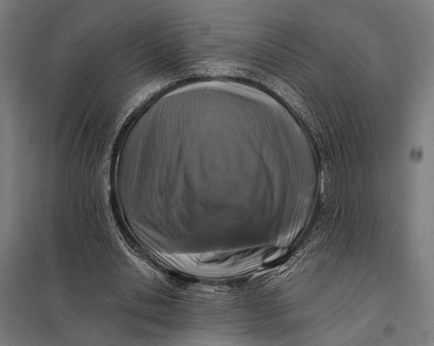 X0000097840438200803281227