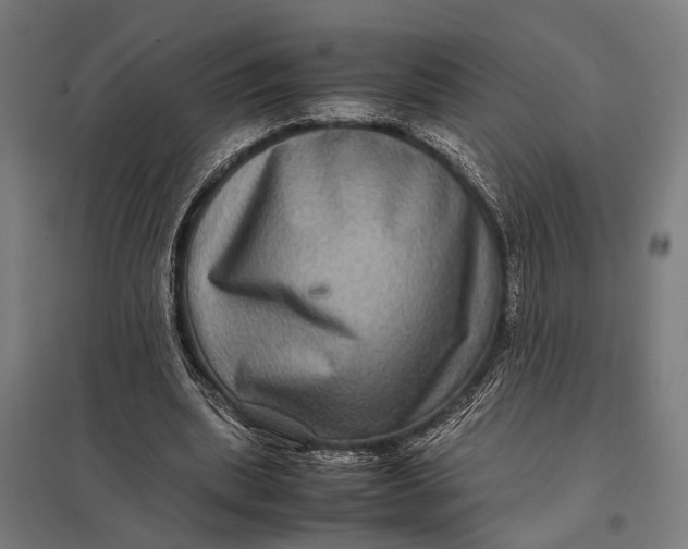 X0000097840439200803281227