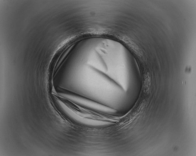 X0000097840440200803281227