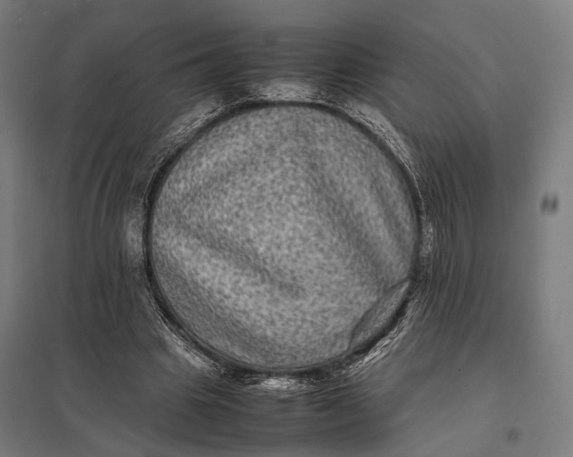 X0000097840441200803281227