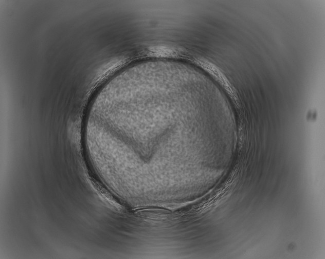 X0000097840442200803281227