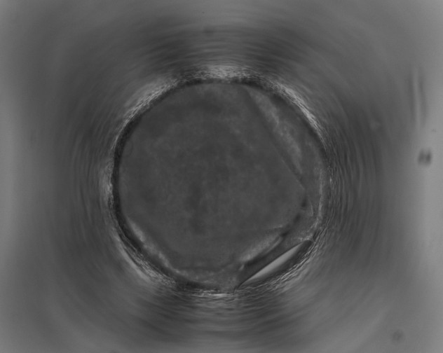 X0000097840443200803281227
