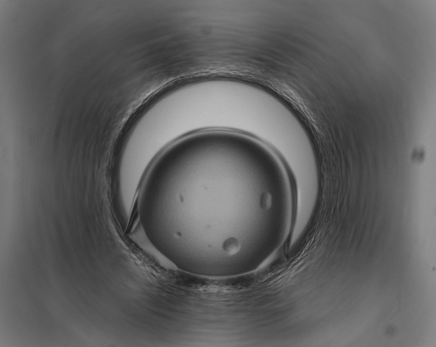 X0000097840444200803281228