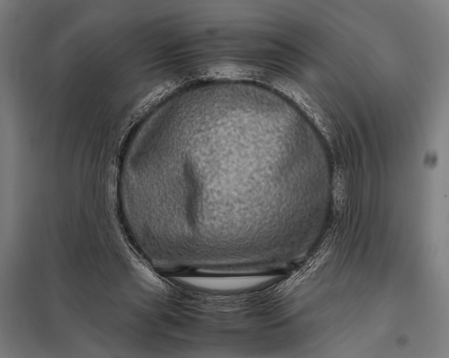 X0000097840445200803281228