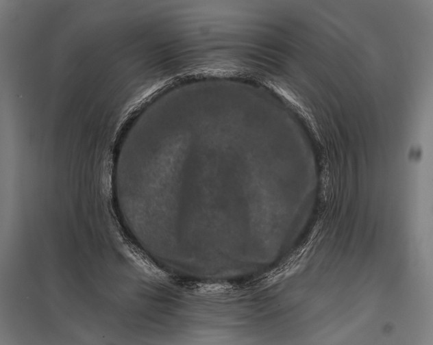 X0000097840446200803281228
