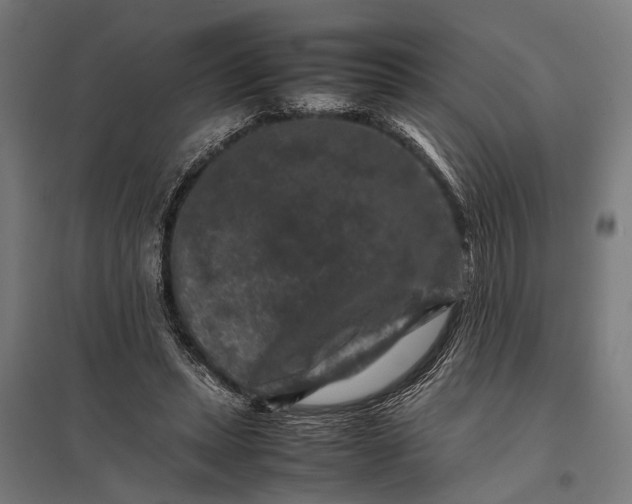 X0000097840447200803281228