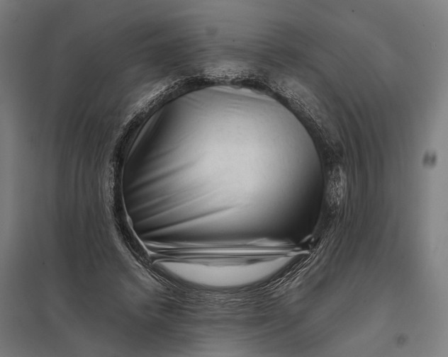 X0000097840448200803281228